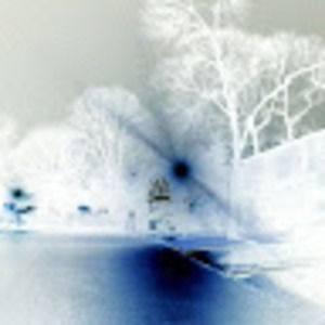 Meet your Posher, Warren